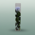Rose Preserved Stem Lavender