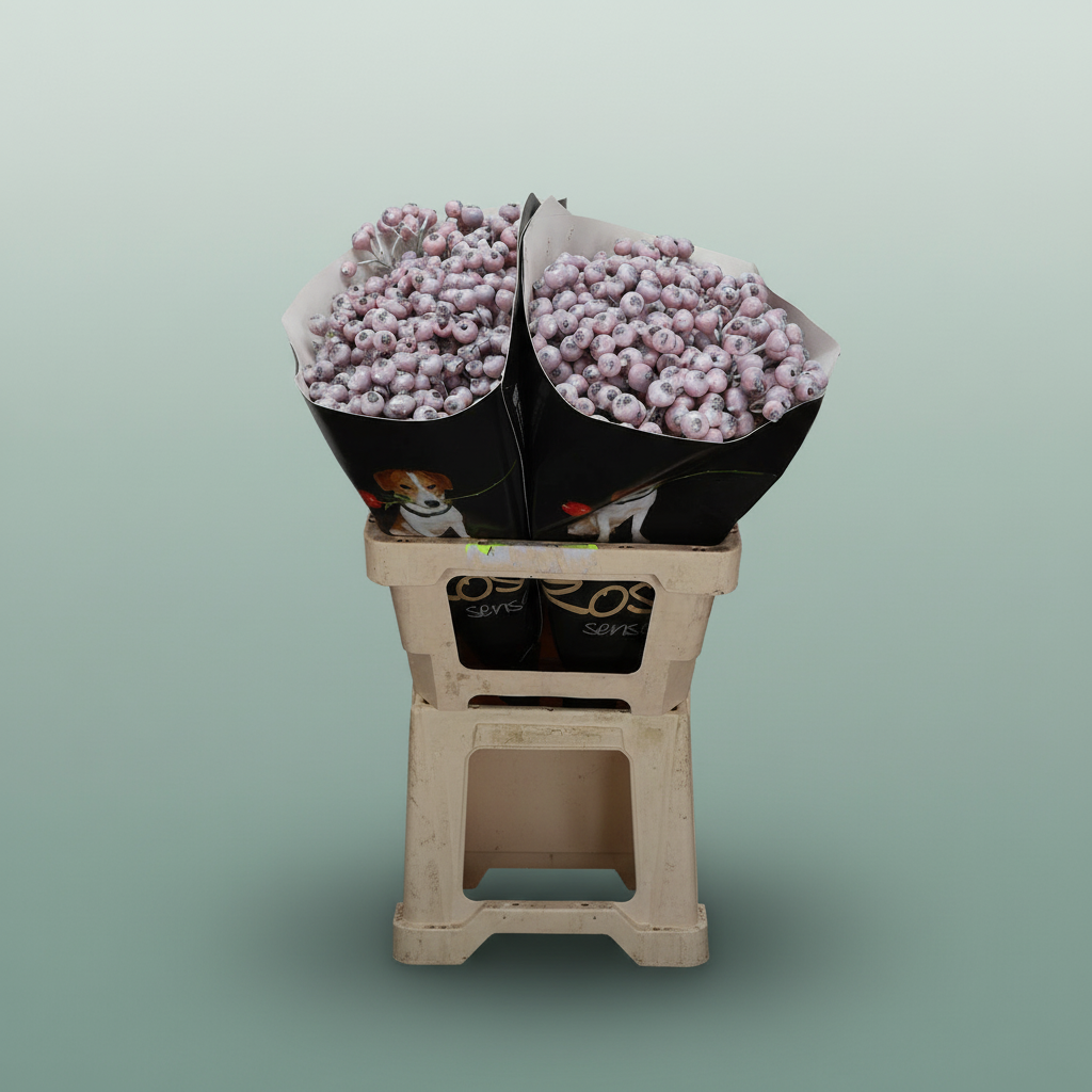 Wax Rosa Bottle