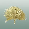 Dried Palm Sun Gold