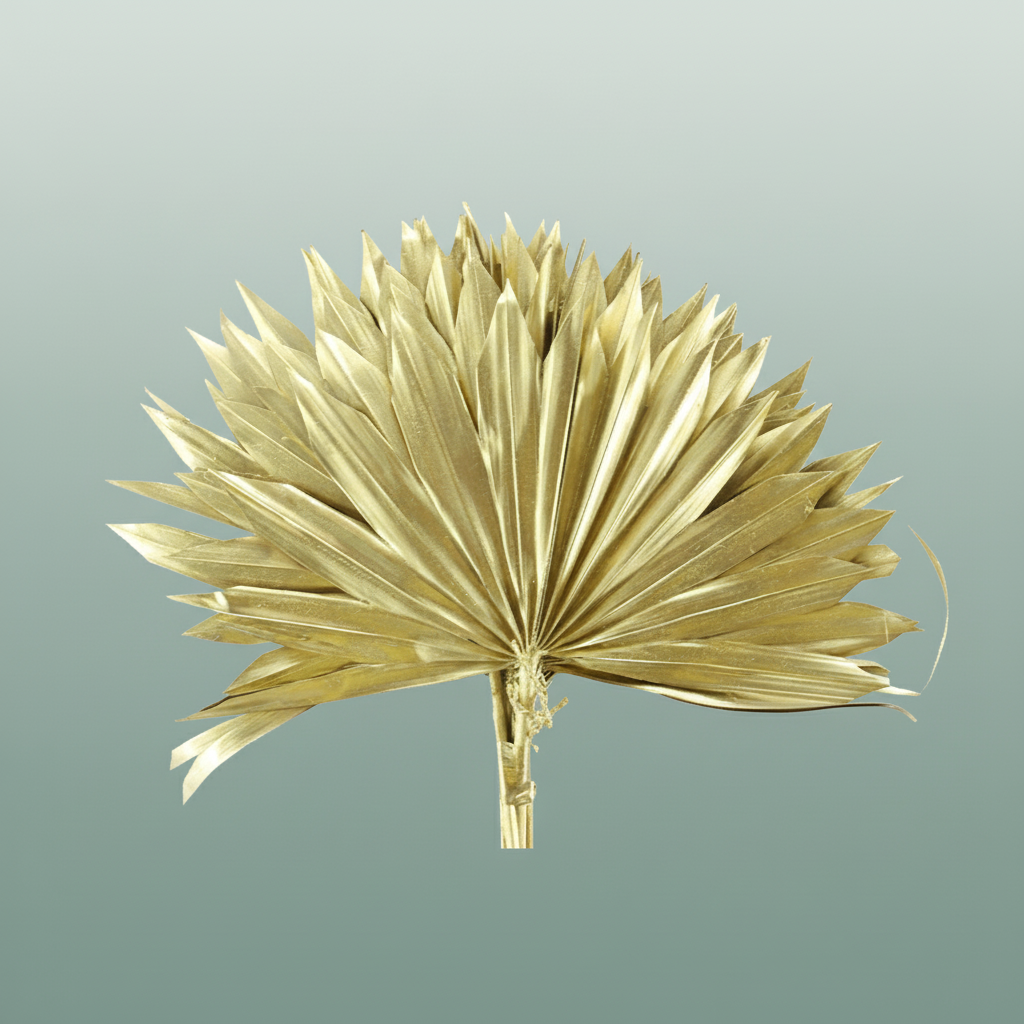 Dried Palm Sun Gold