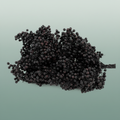 Schinus M Pt Black