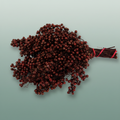 Schinus M Pt Maroon