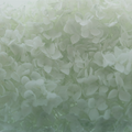 Pres Hydrangea Soft Green