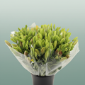 Bouquet Mono Lily
