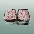 Rose Faith