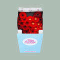 Germini Dream Mix Red