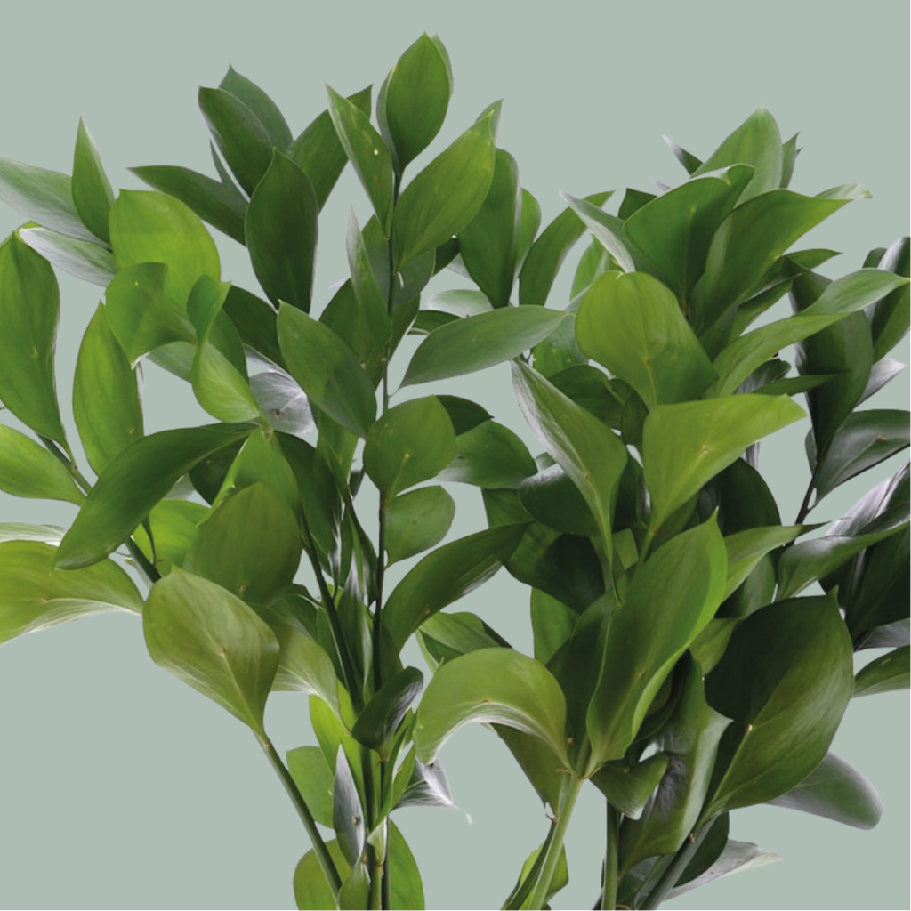 GR Mixed Foliage Box