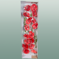 Anthurium Impulz