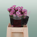 Spray Rose - Rosa - Leila