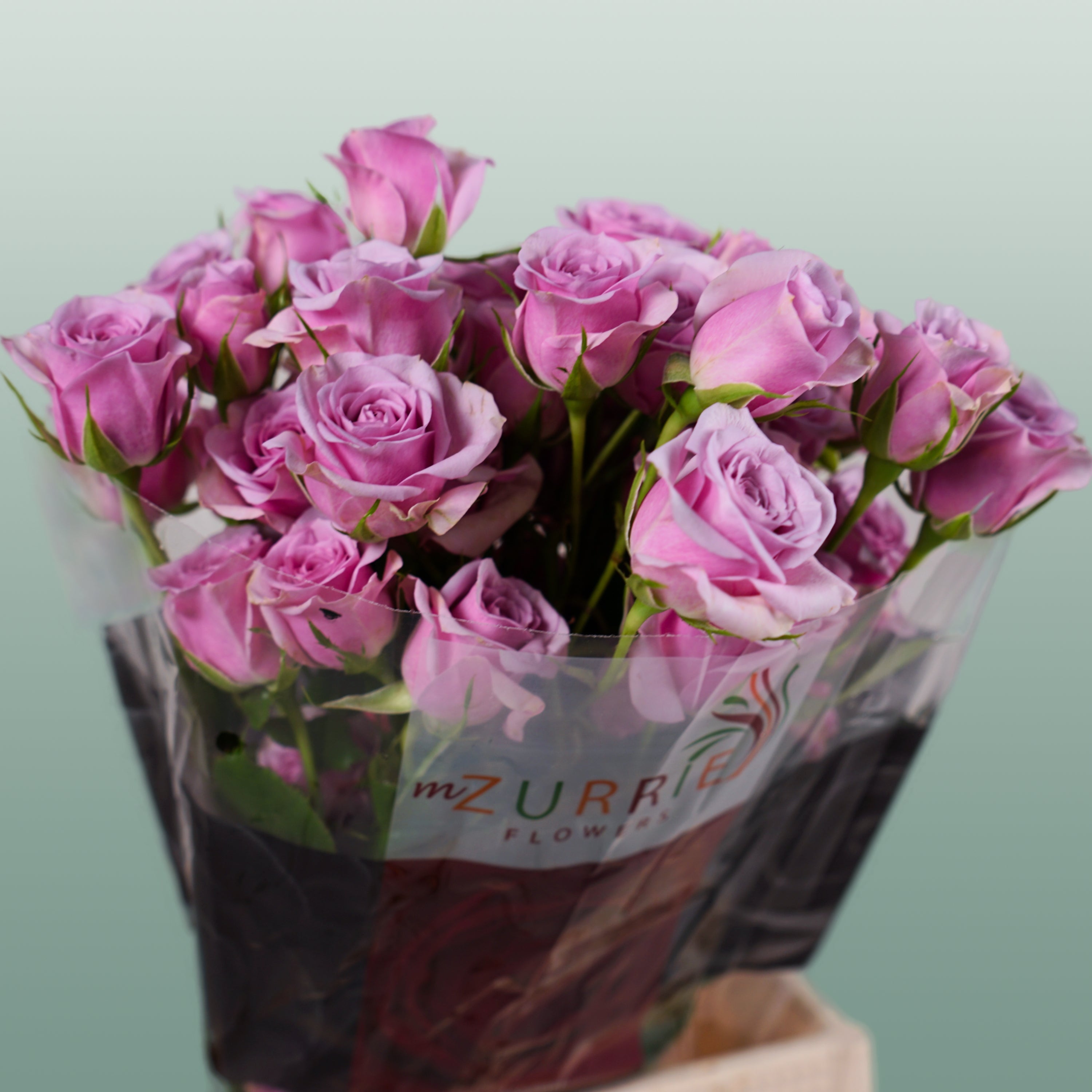 Spray Rose - Rosa - Leila