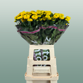 Chrysanthemum Spray Letitbe