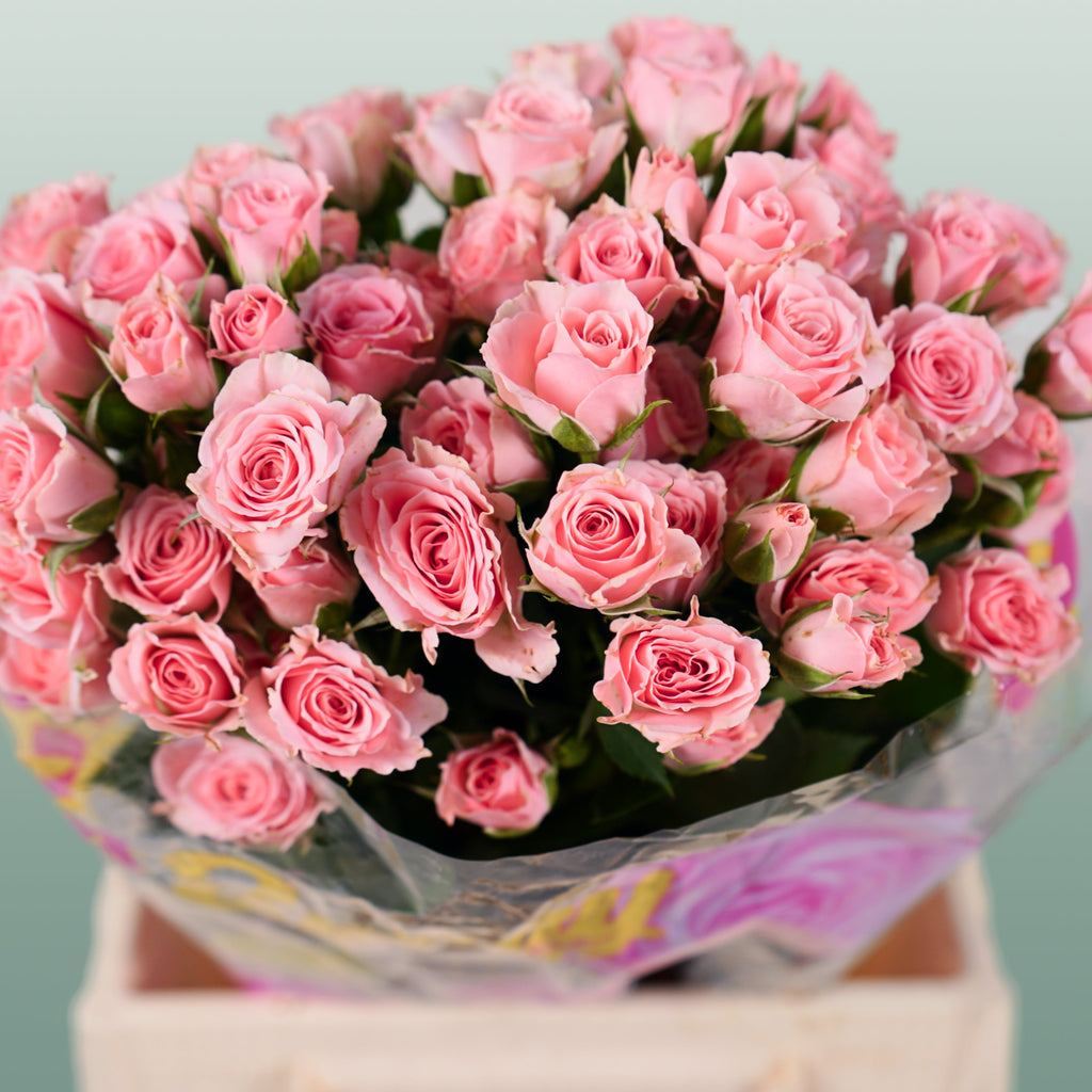 Spray Rose - Rosa - Lydia