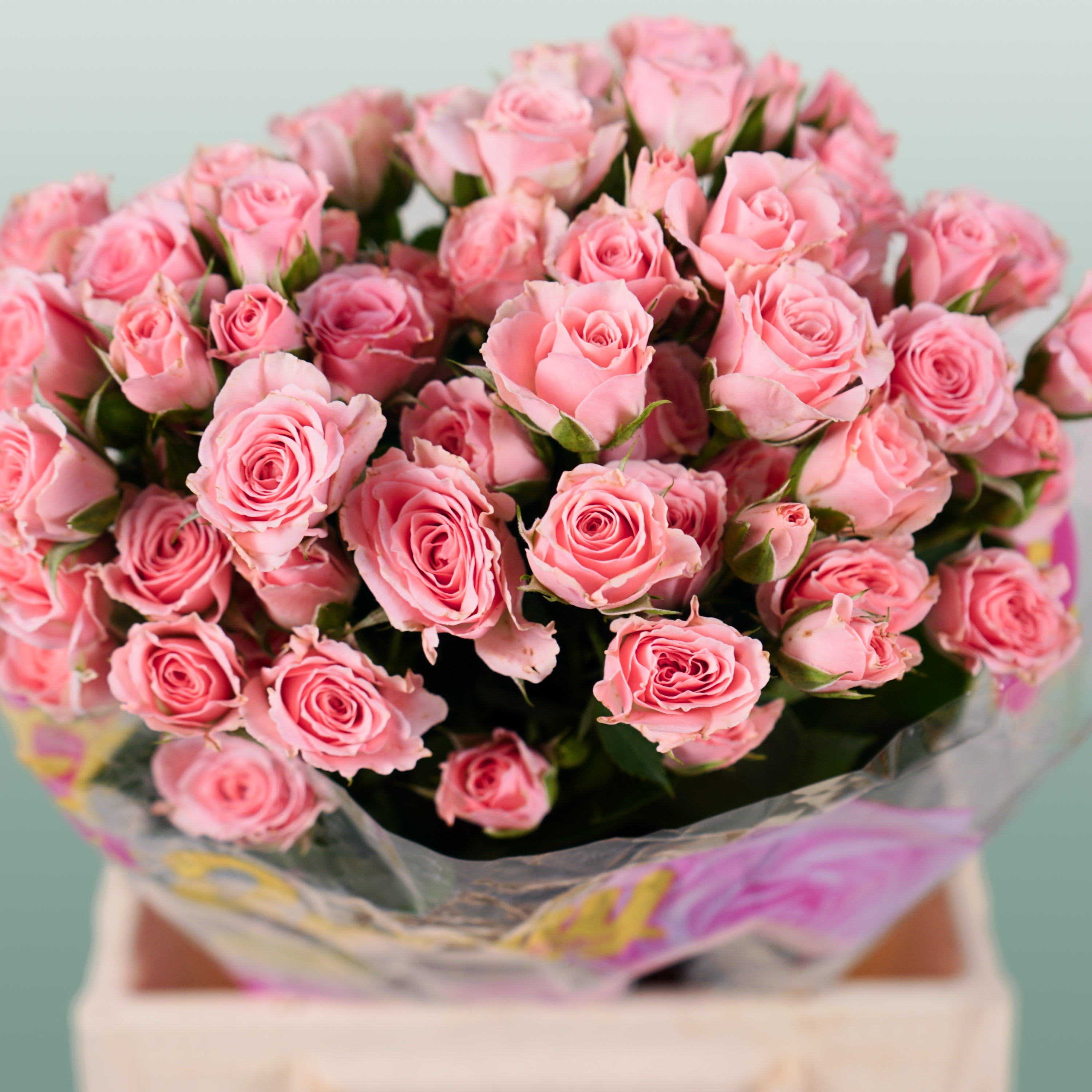 Spray Rose - Rosa - Lydia