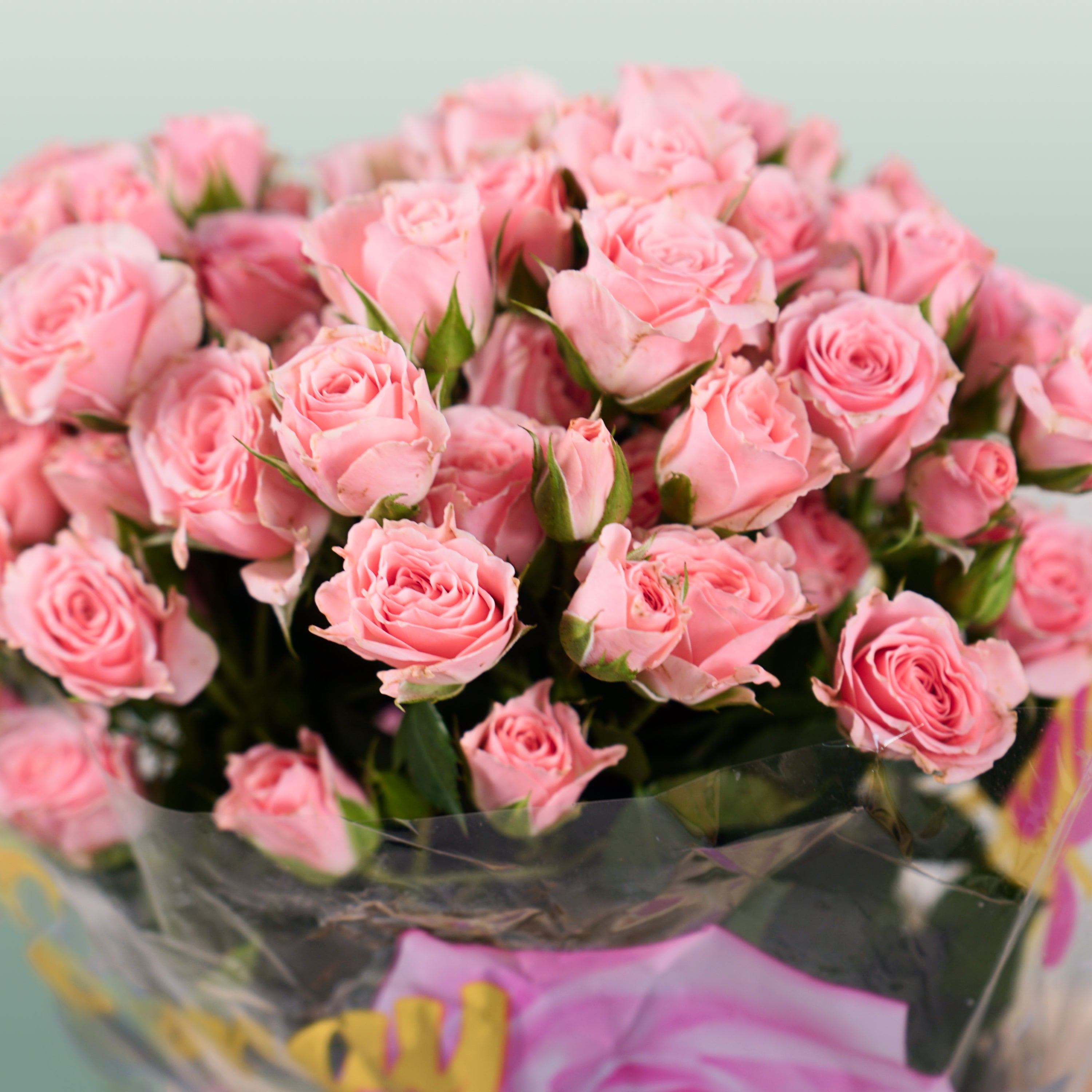 Spray Rose - Rosa - Lydia