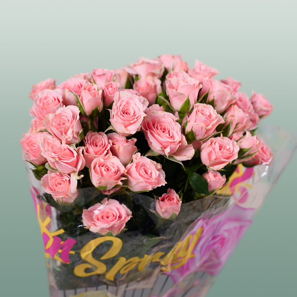 Spray Rose - Rosa - Lydia