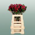 Hypericum Magical Triumph (25 Stems)
