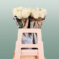 Rose Avalanche Free Choice