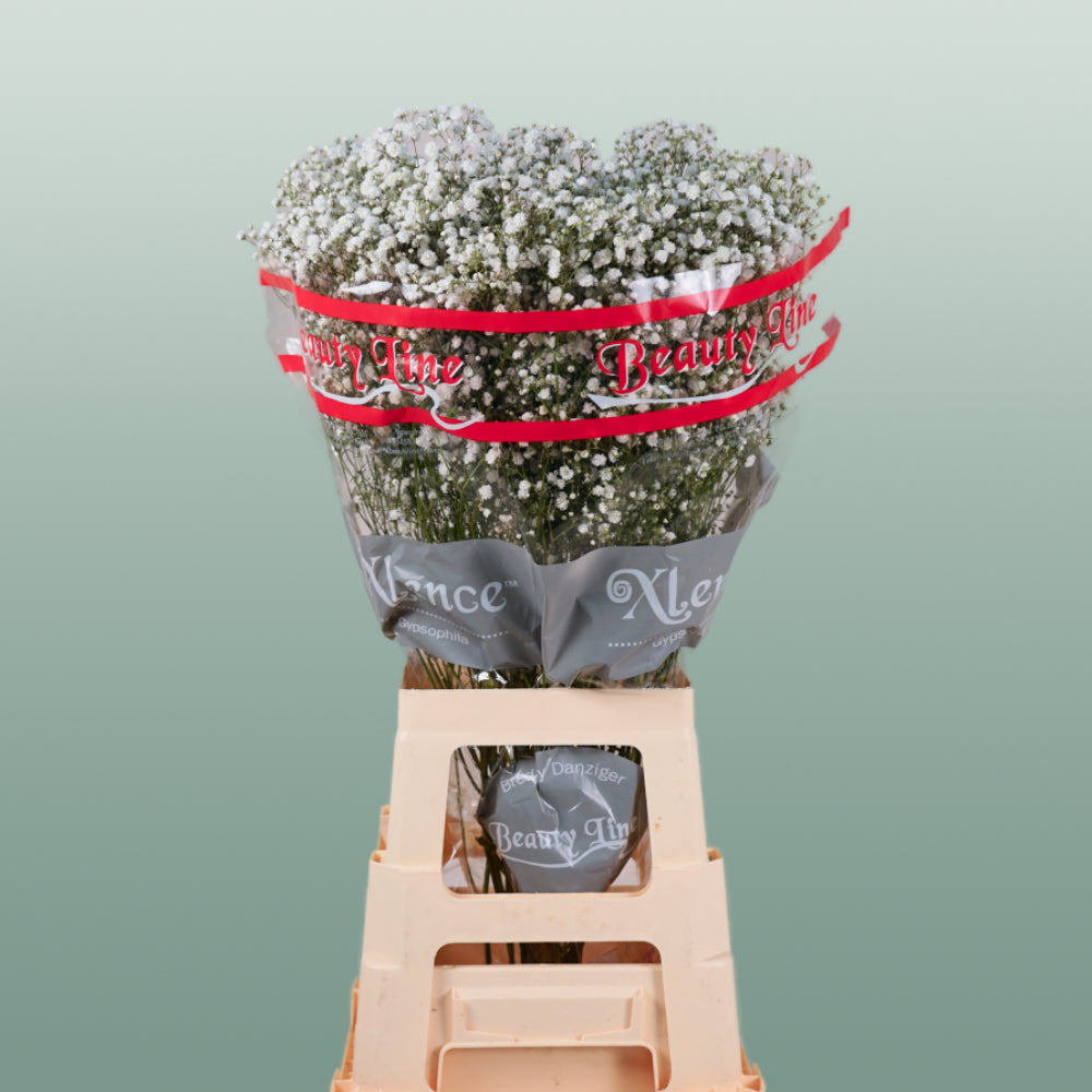 Filler Mixed Box
