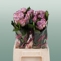Rose - Rosa - Memory Lane