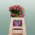 Spray Rose - Rosa - Odilia