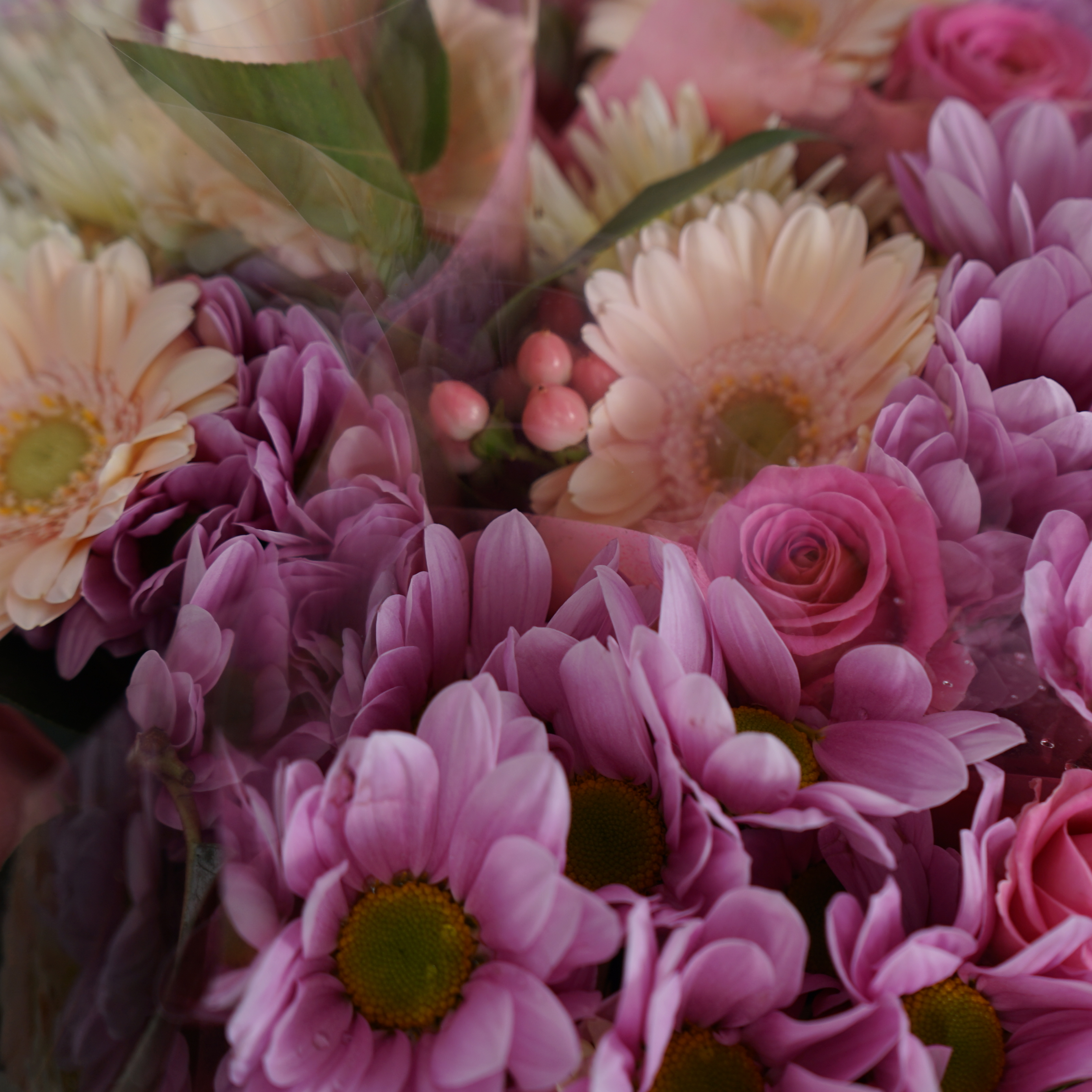 5 Stem Pink Bouquet (10 Bunches)