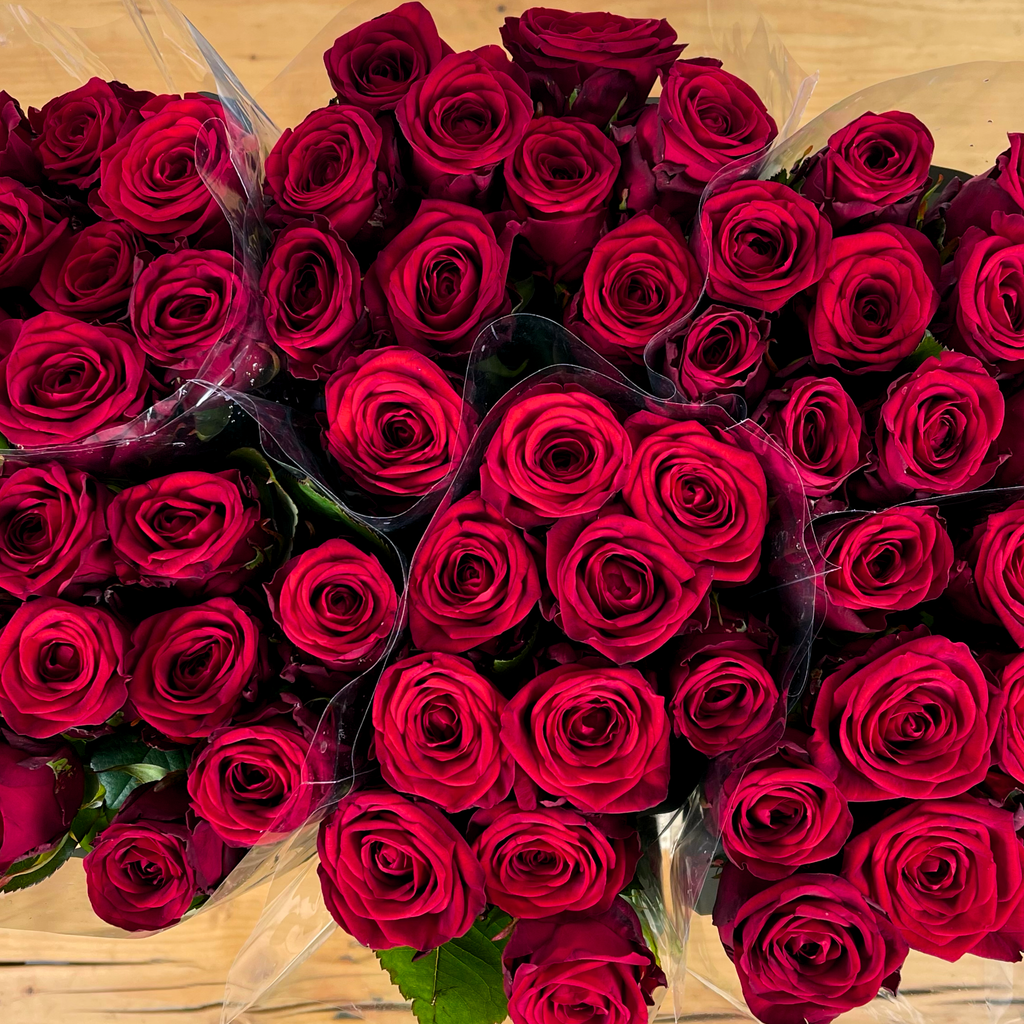 Rose Red Naomi Free Choice