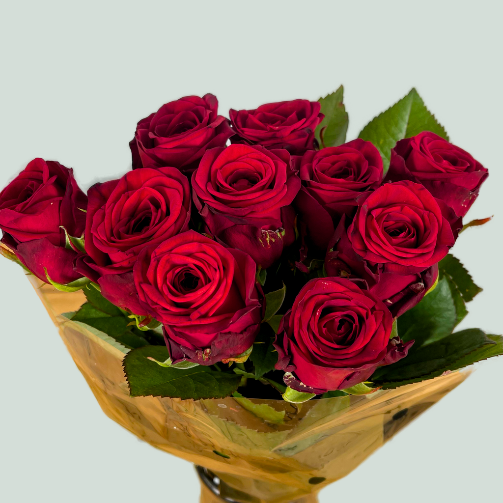 Rose Red Naomi Free Choice