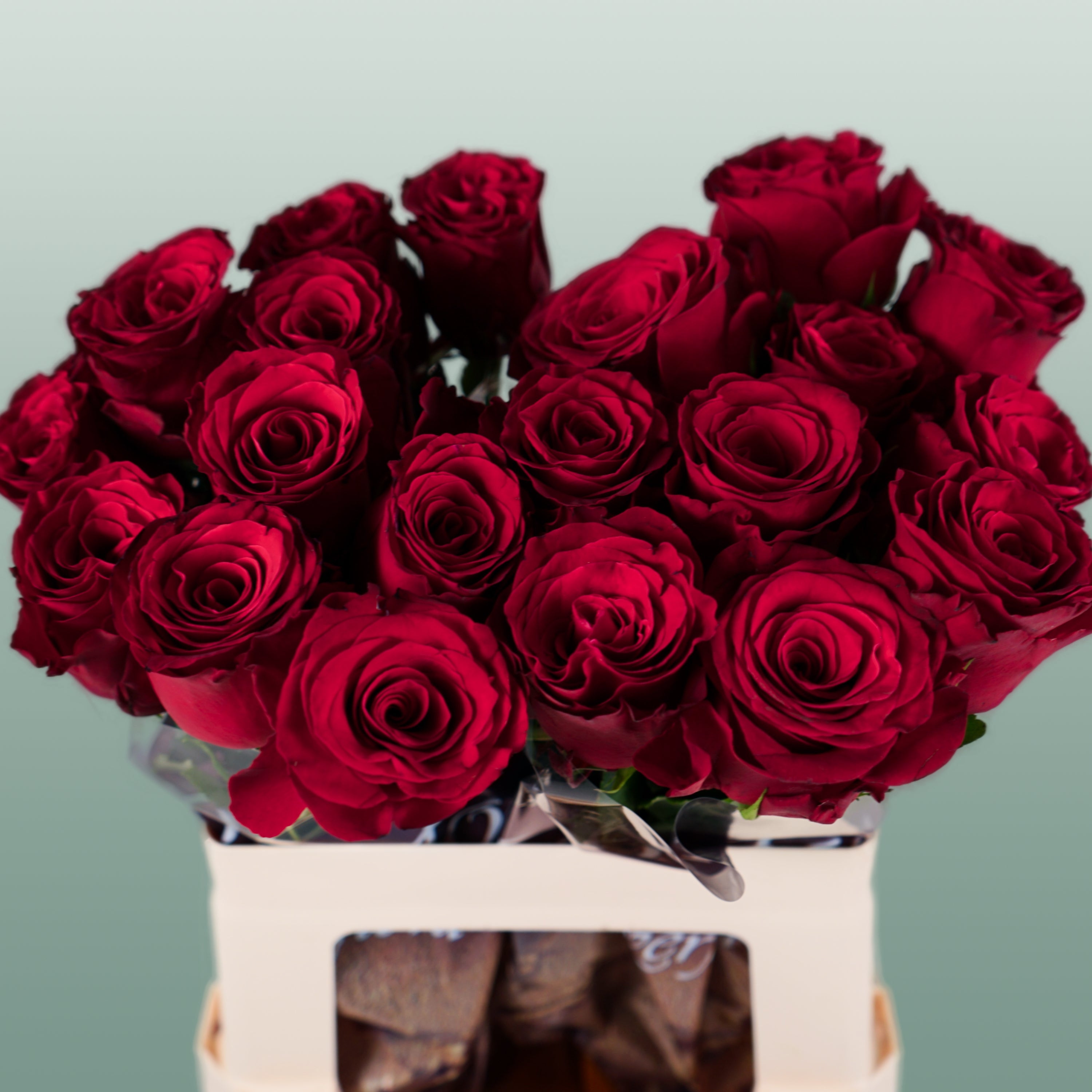 Rose - Rosa - Rhodos