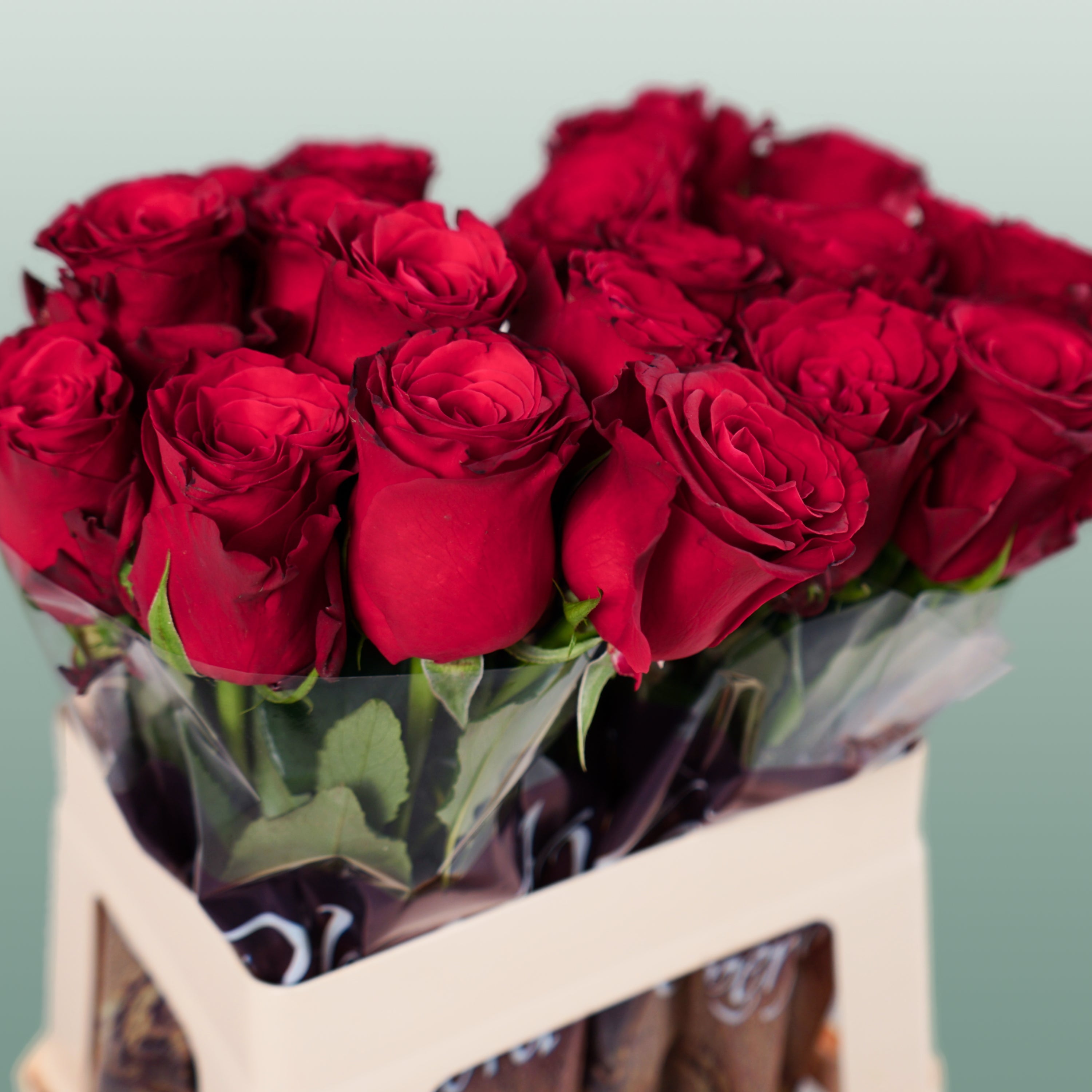Rose - Rosa - Rhodos