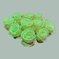 Rose Glow In The Dark (20 Stems)