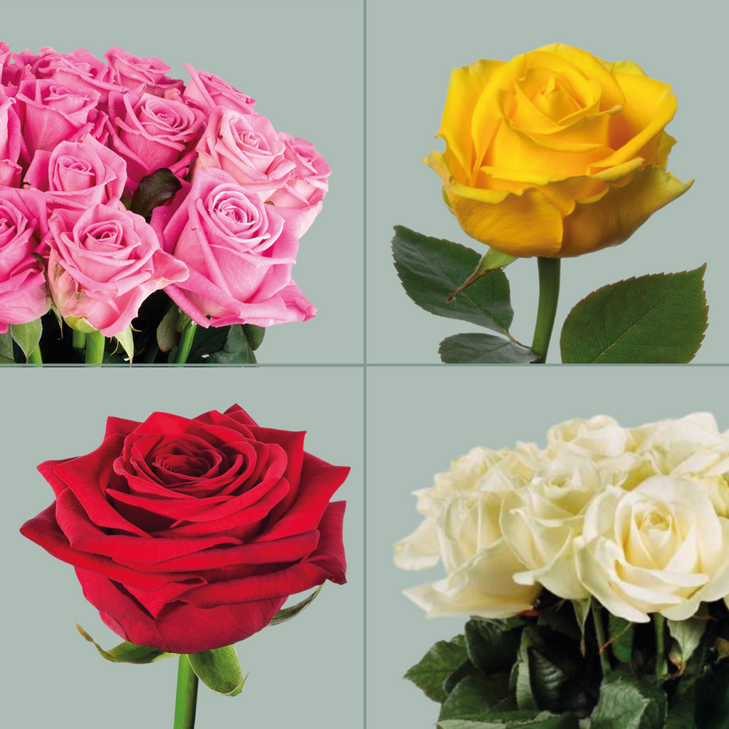 Rose Mixed Box (80 Stems)