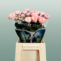 Spray Rose - Rosa - Royal Blush