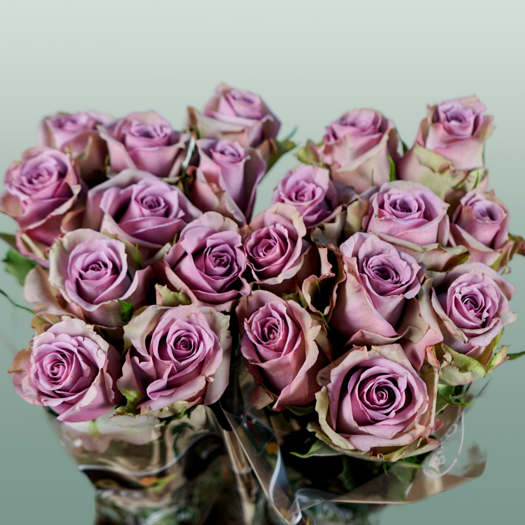 Rose - Rosa - Samantha's Bridal