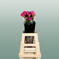 Carnation Standard Bernard