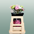 Carnation Standard Mix Pastel