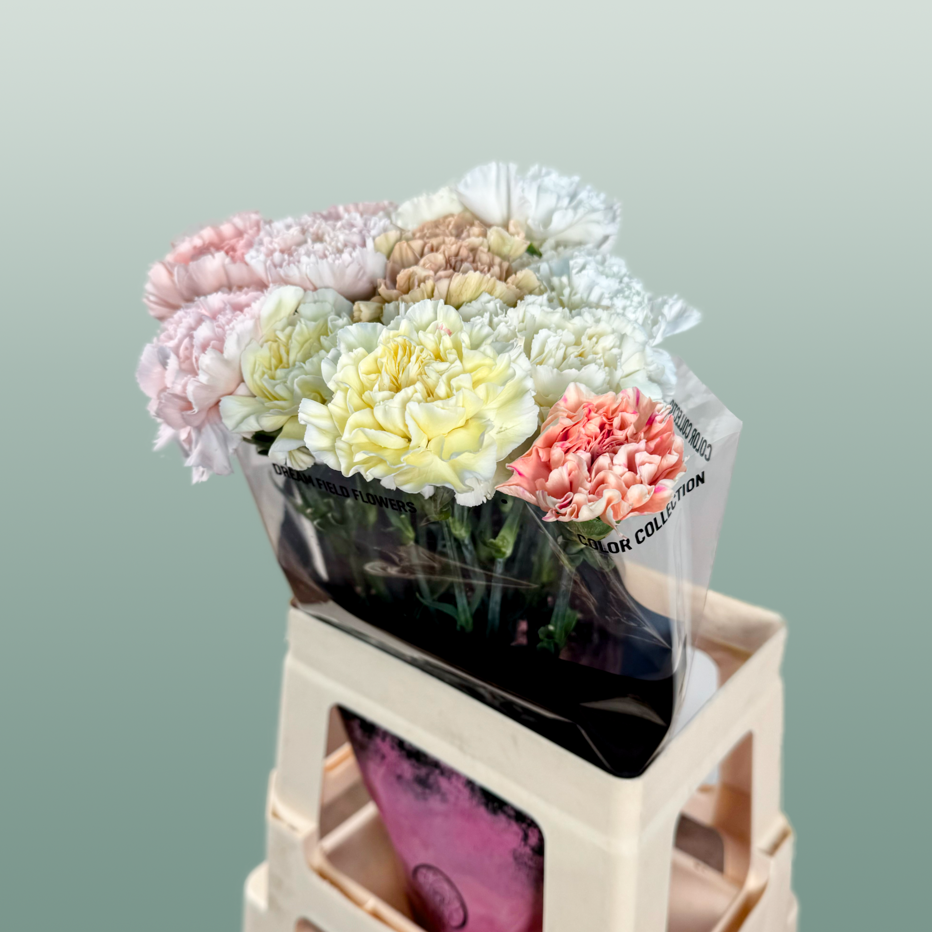 Carnation Standard Mix Wedding