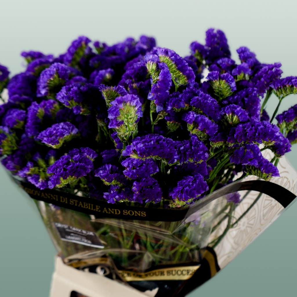Limonium Statice Crystal Dark Blue (25 Stems)