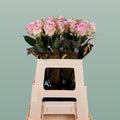Rose - Rosa - Sweet Dolomiti