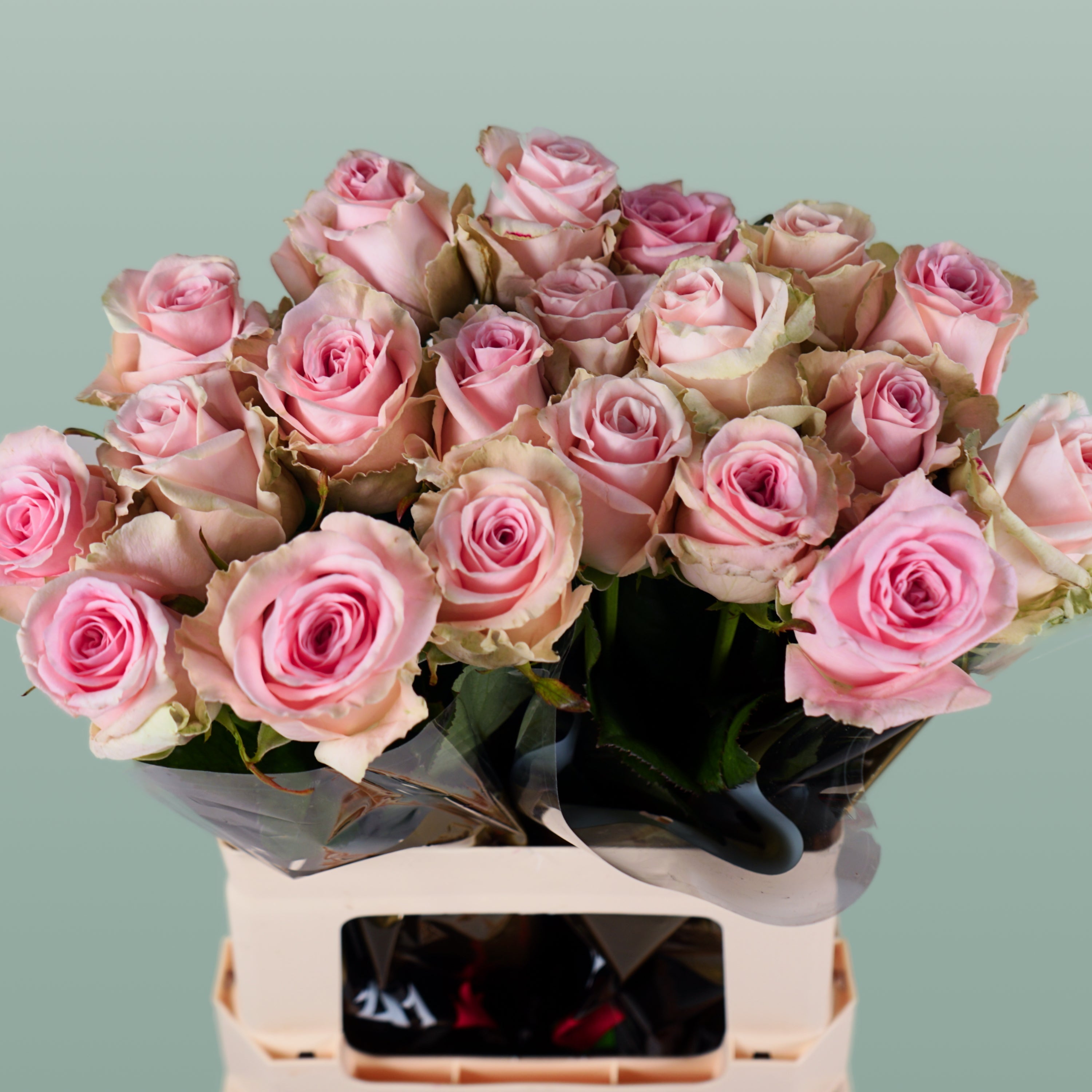 Rose - Rosa - Sweet Dolomiti