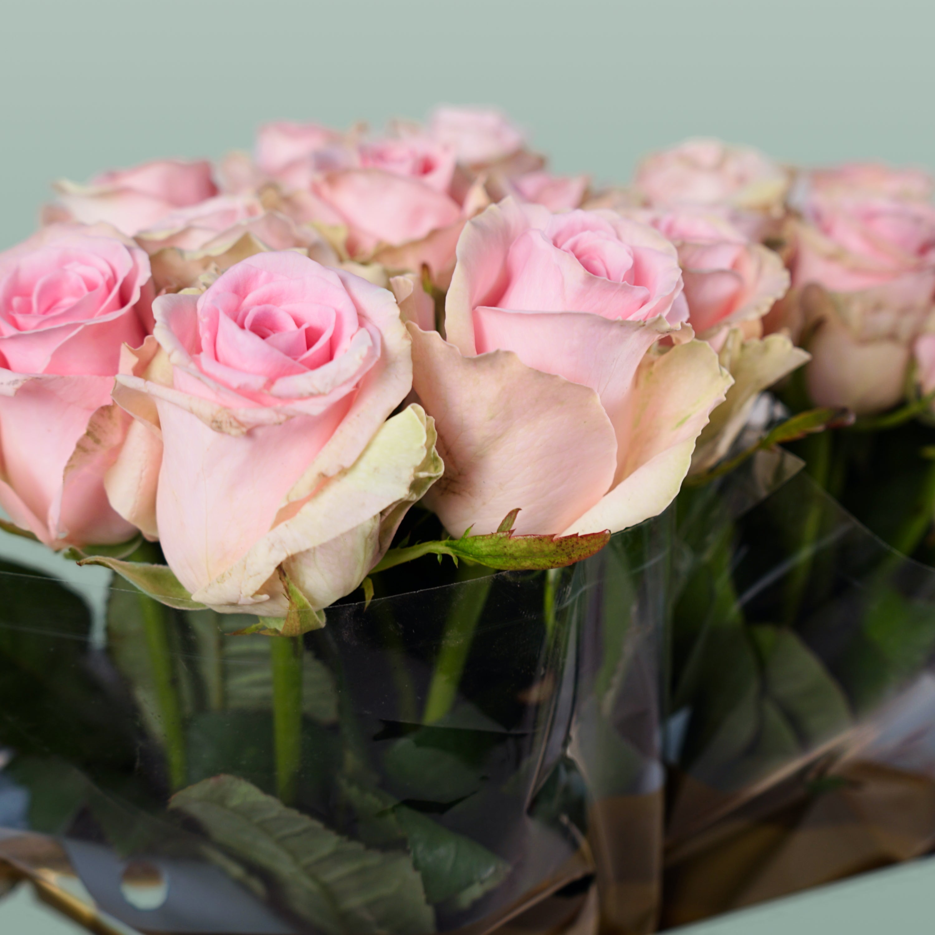 Rose - Rosa - Sweet Dolomiti