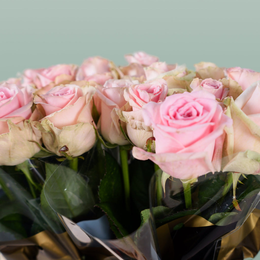 Rose - Rosa - Sweet Dolomiti
