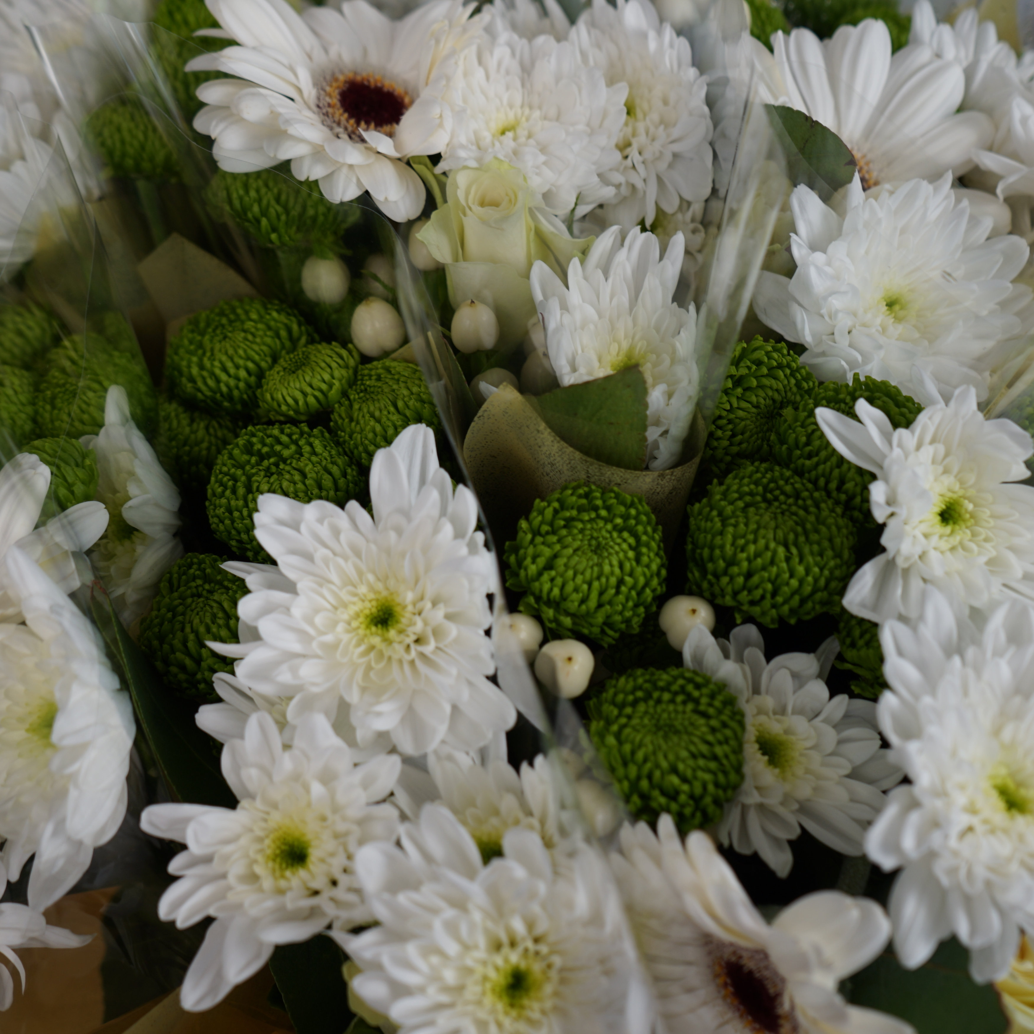 5 Stem White Bouquet (10 Bunches)