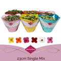 Kalanchoe Bl Gemengd Tst