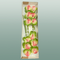 Anthurium Zafira Green Stems – 40cm