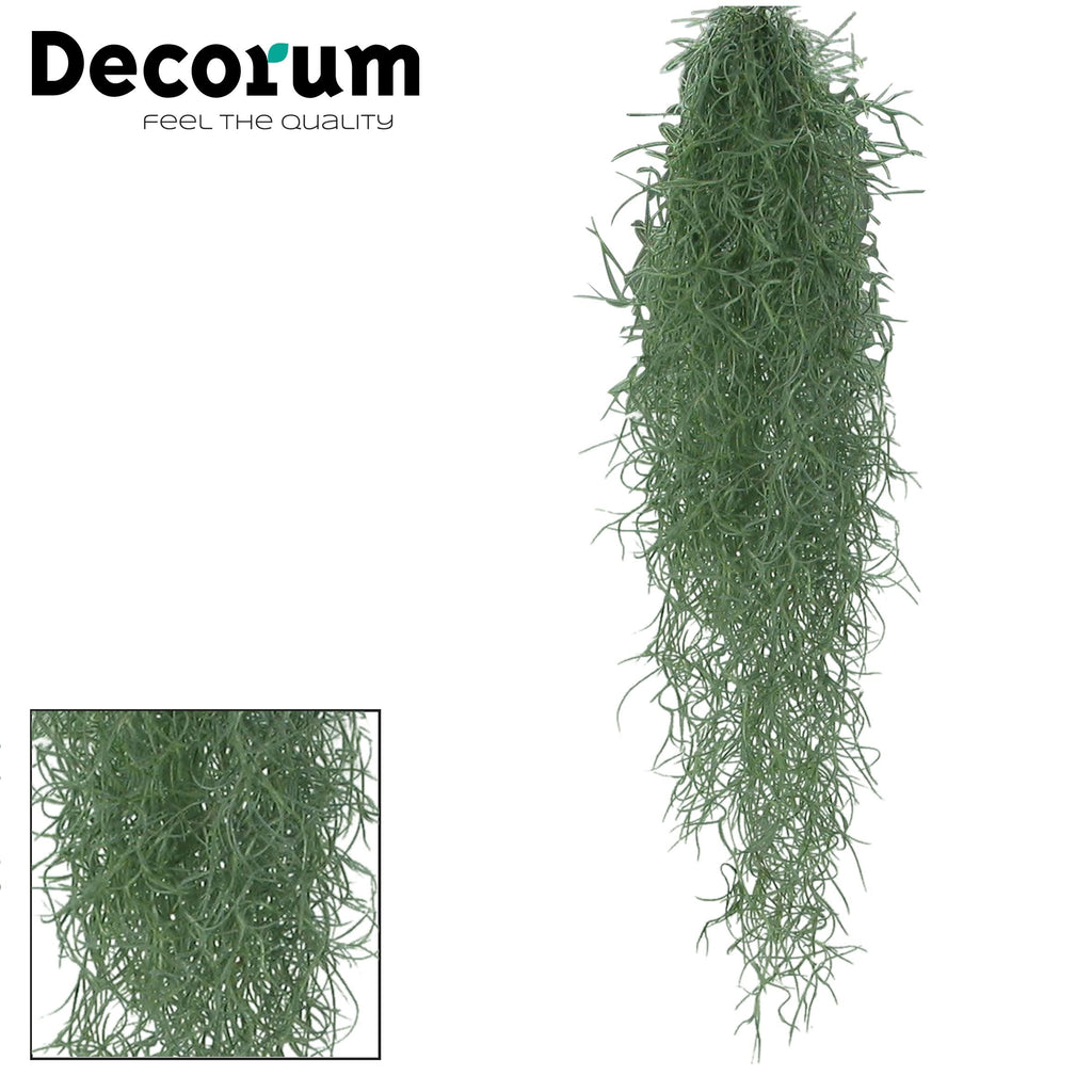 Tillandsia Usneoides (L)