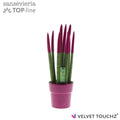 Sans Cyl Velvet Touchz Fuchsia Keramiek