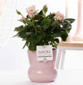 Rose Bm Licht Roze Keramiek Maima