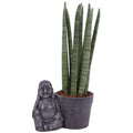 Sans Cyl Straight Keramiek Buddha