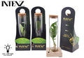 Opm Intenz Gemengd Glas Tube + Led & Giftpack