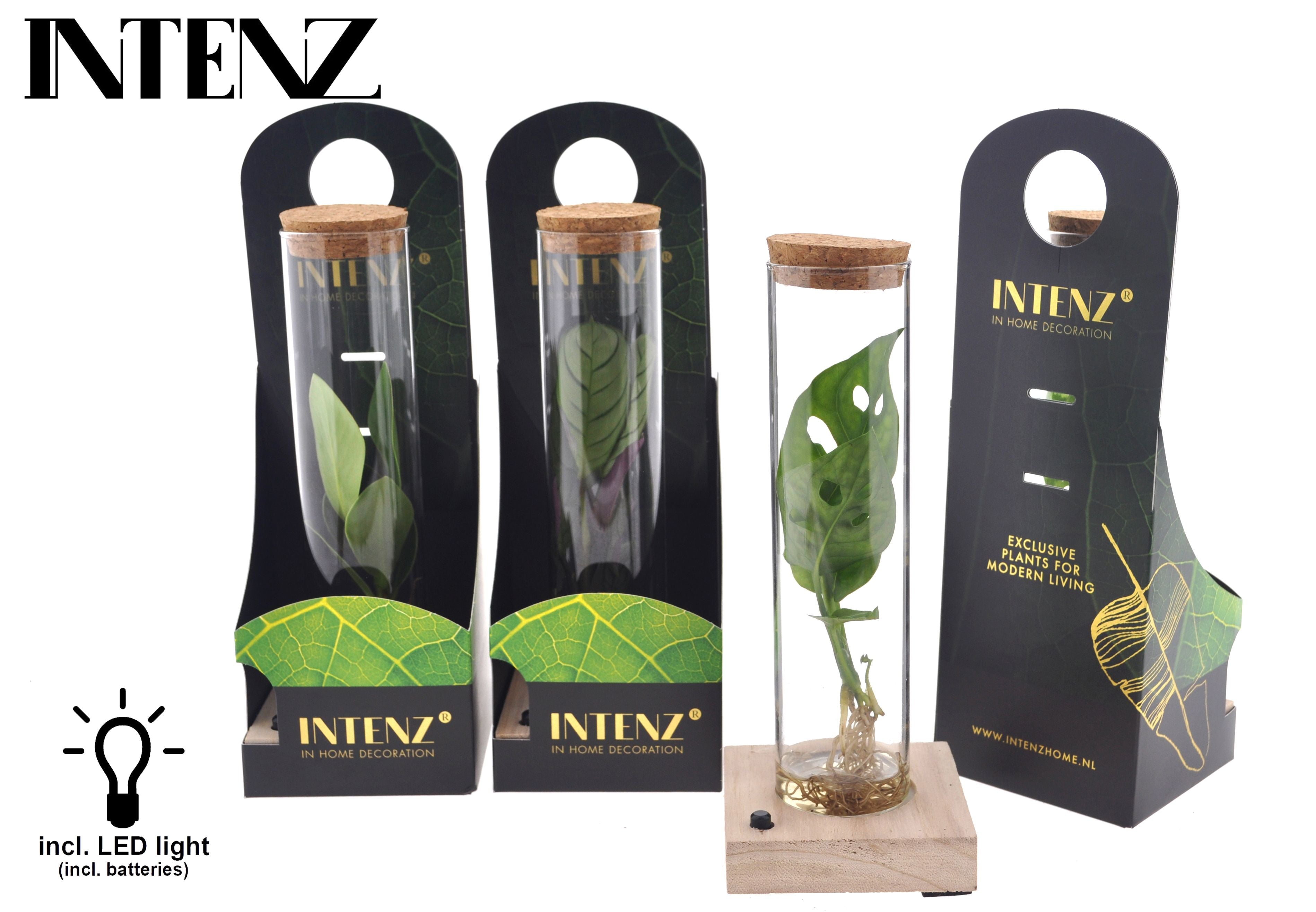 Opm Intenz Gemengd Glas Tube + Led & Giftpack